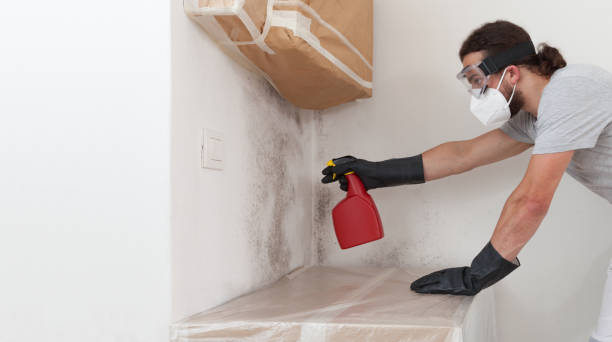 Professional Attic Mold Remediation technician working in Beulah, MI